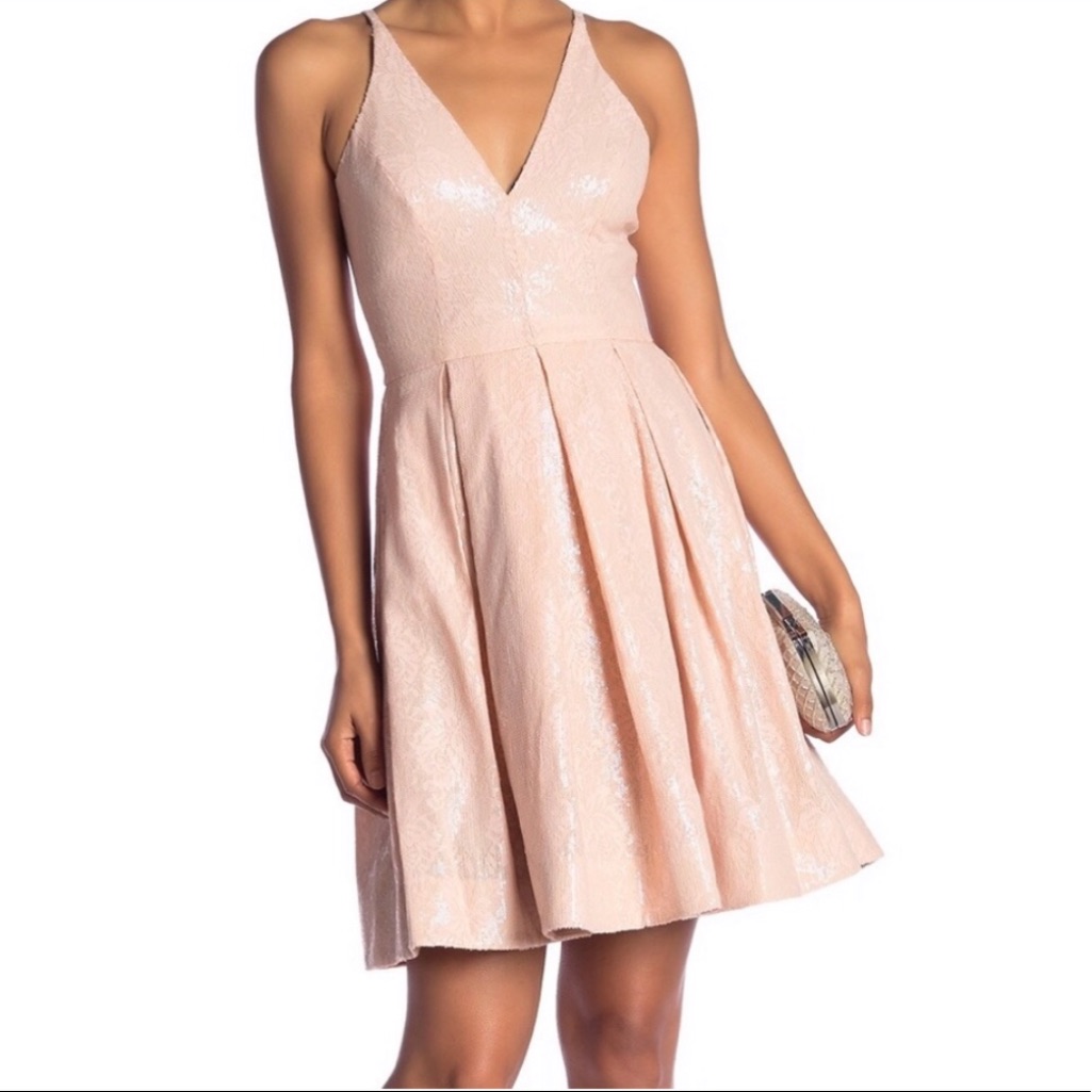 Nwt Dress The Population Dress